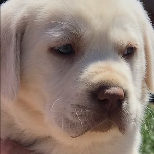 Meet your Posher, Keisha